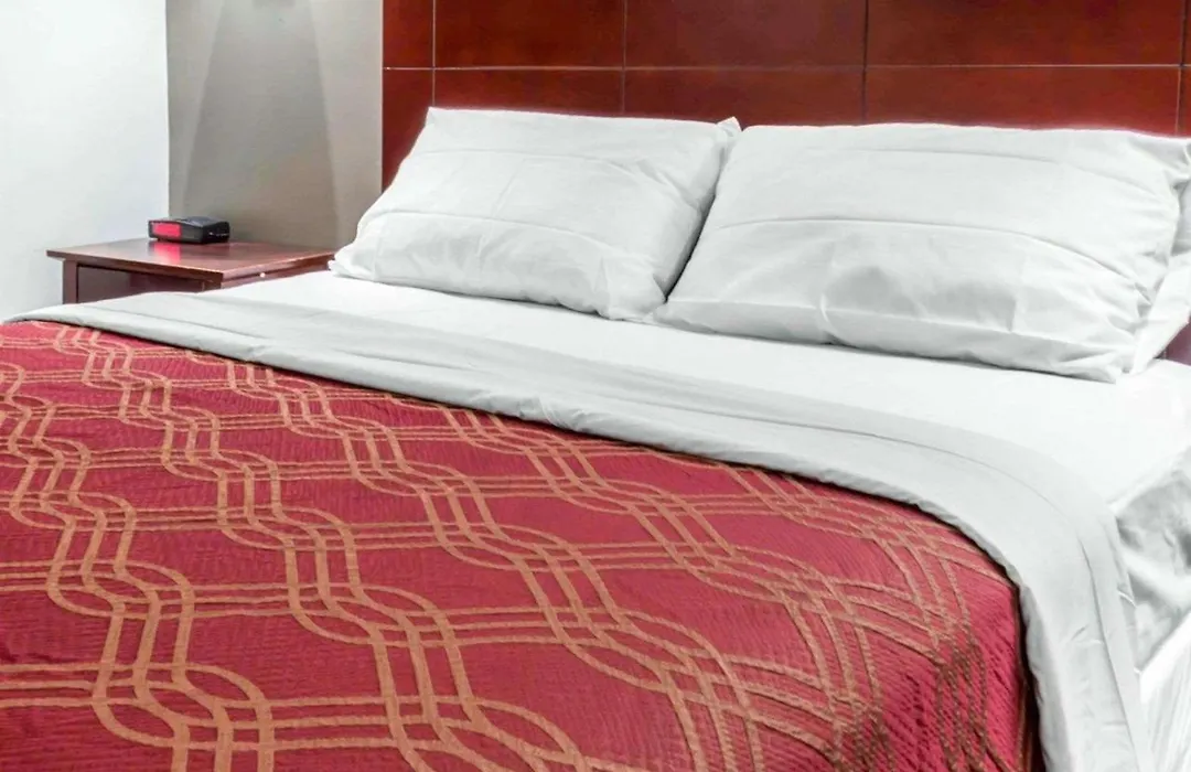Econo Lodge South Ozone Park-1